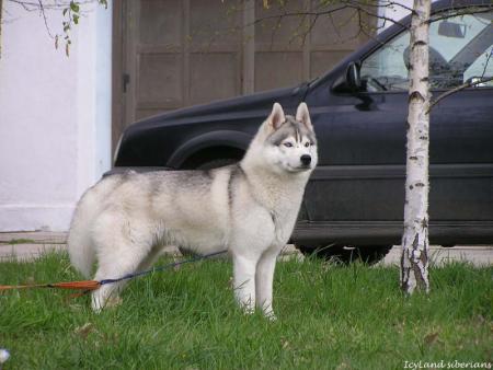 Прикачена снимка