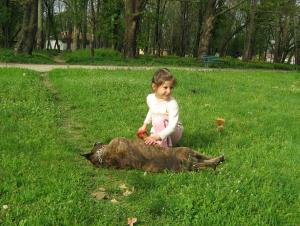 Прикачена снимка