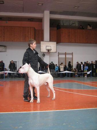 Прикачена снимка