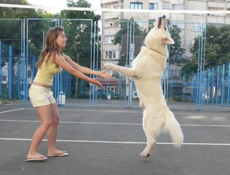 Прикачена снимка