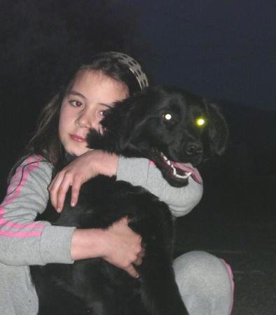Прикачена снимка