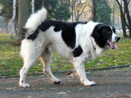 Прикачена снимка