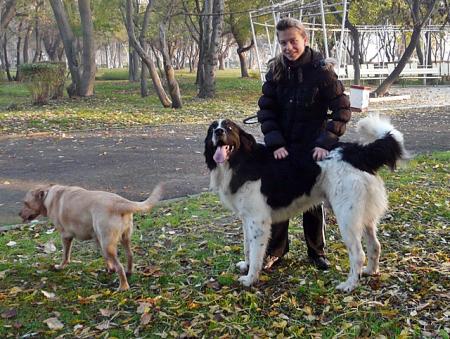 Прикачена снимка