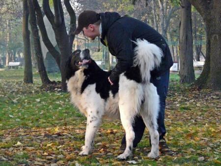 Прикачена снимка