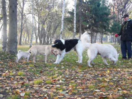 Прикачена снимка