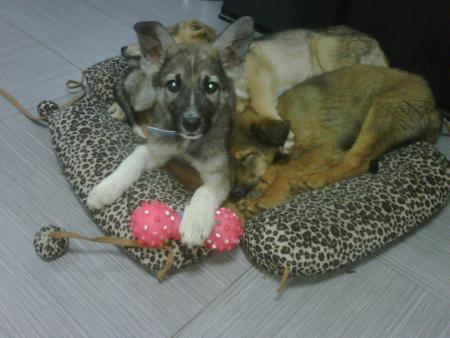 Прикачена снимка