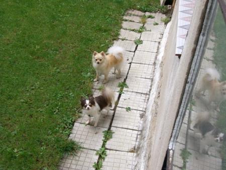 Прикачена снимка