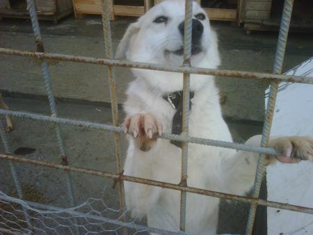 Прикачена снимка