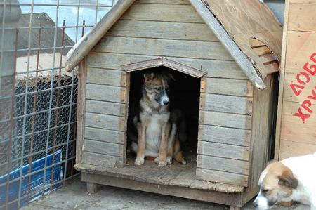 Прикачена снимка