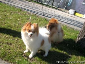 Прикачена снимка