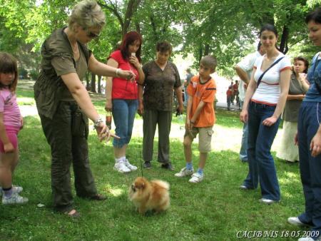 Прикачена снимка