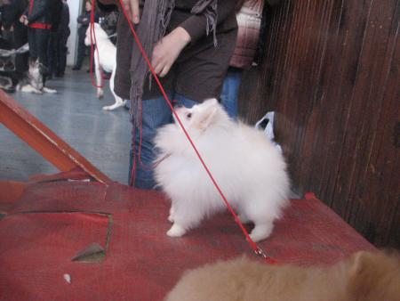 Прикачена снимка
