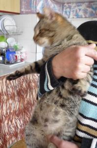 Прикачена снимка