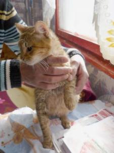 Прикачена снимка