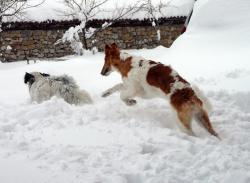 Прикачена снимка