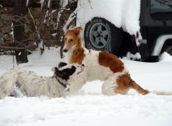 Прикачена снимка