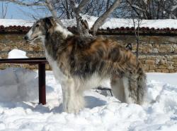 Прикачена снимка