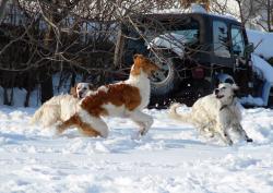 Прикачена снимка