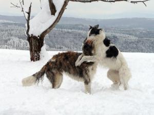 Прикачена снимка