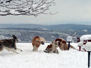 Прикачена снимка