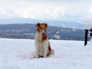 Прикачена снимка