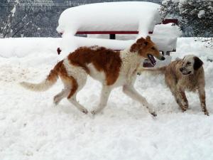 Прикачена снимка