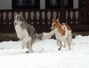 Прикачена снимка