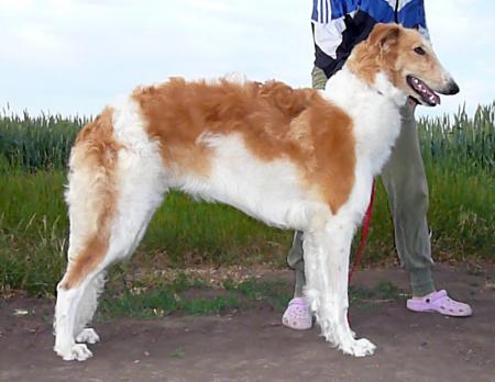 Прикачена снимка