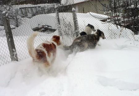 Прикачена снимка