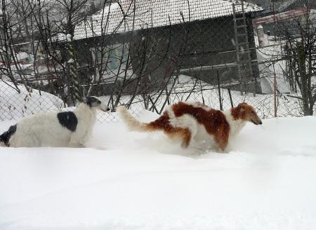 Прикачена снимка