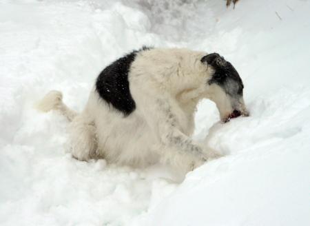 Прикачена снимка