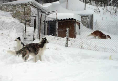 Прикачена снимка