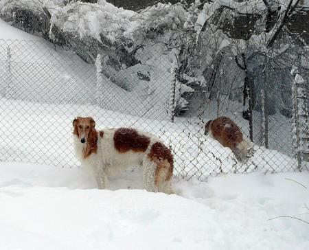 Прикачена снимка