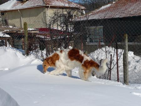 Прикачена снимка