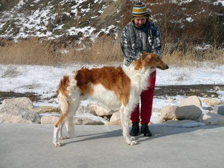 Прикачена снимка