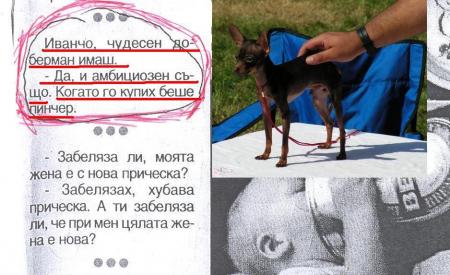 Прикачена снимка