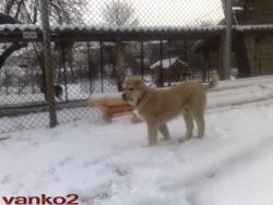 Прикачена снимка