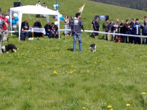 Прикачена снимка