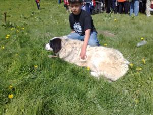 Прикачена снимка