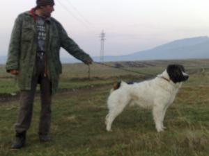 Прикачена снимка