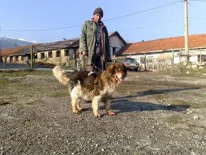 Прикачена снимка