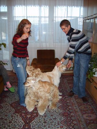 Прикачена снимка