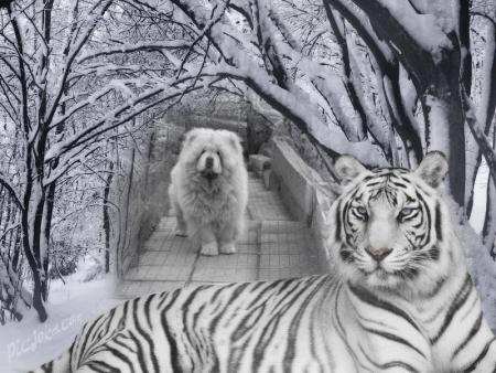 Прикачена снимка