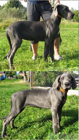 Прикачена снимка