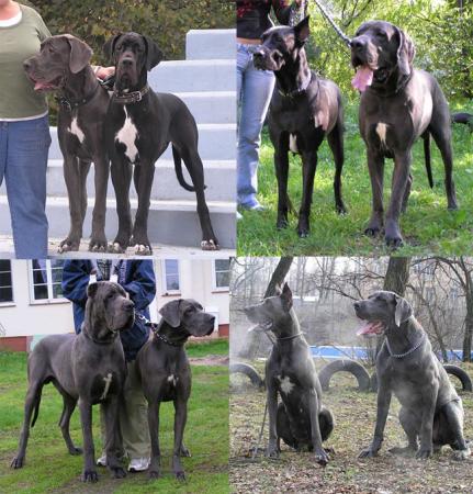 Прикачена снимка