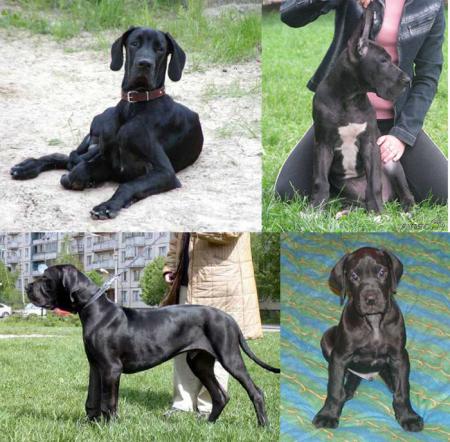 Прикачена снимка