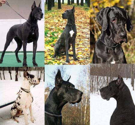 Прикачена снимка