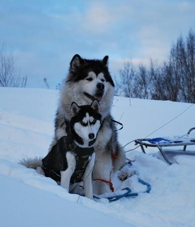 Прикачена снимка