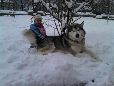 Прикачена снимка