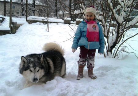 Прикачена снимка